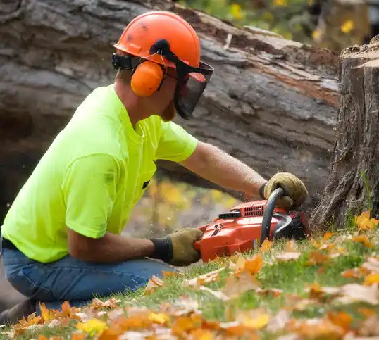 tree services River Rouge